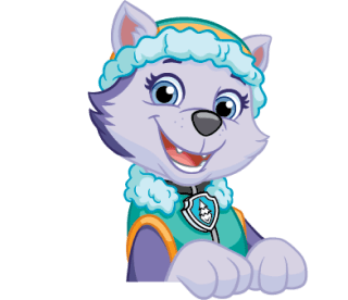 Everest Pat'Patrouille